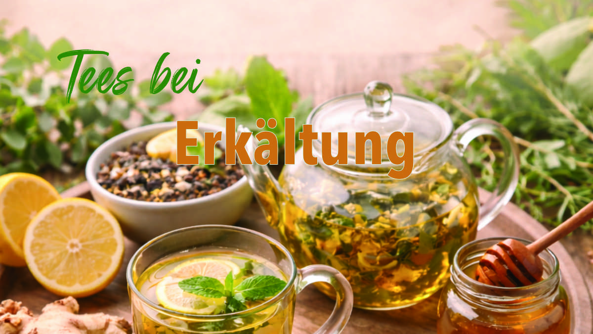 Tees bei Erkältung
